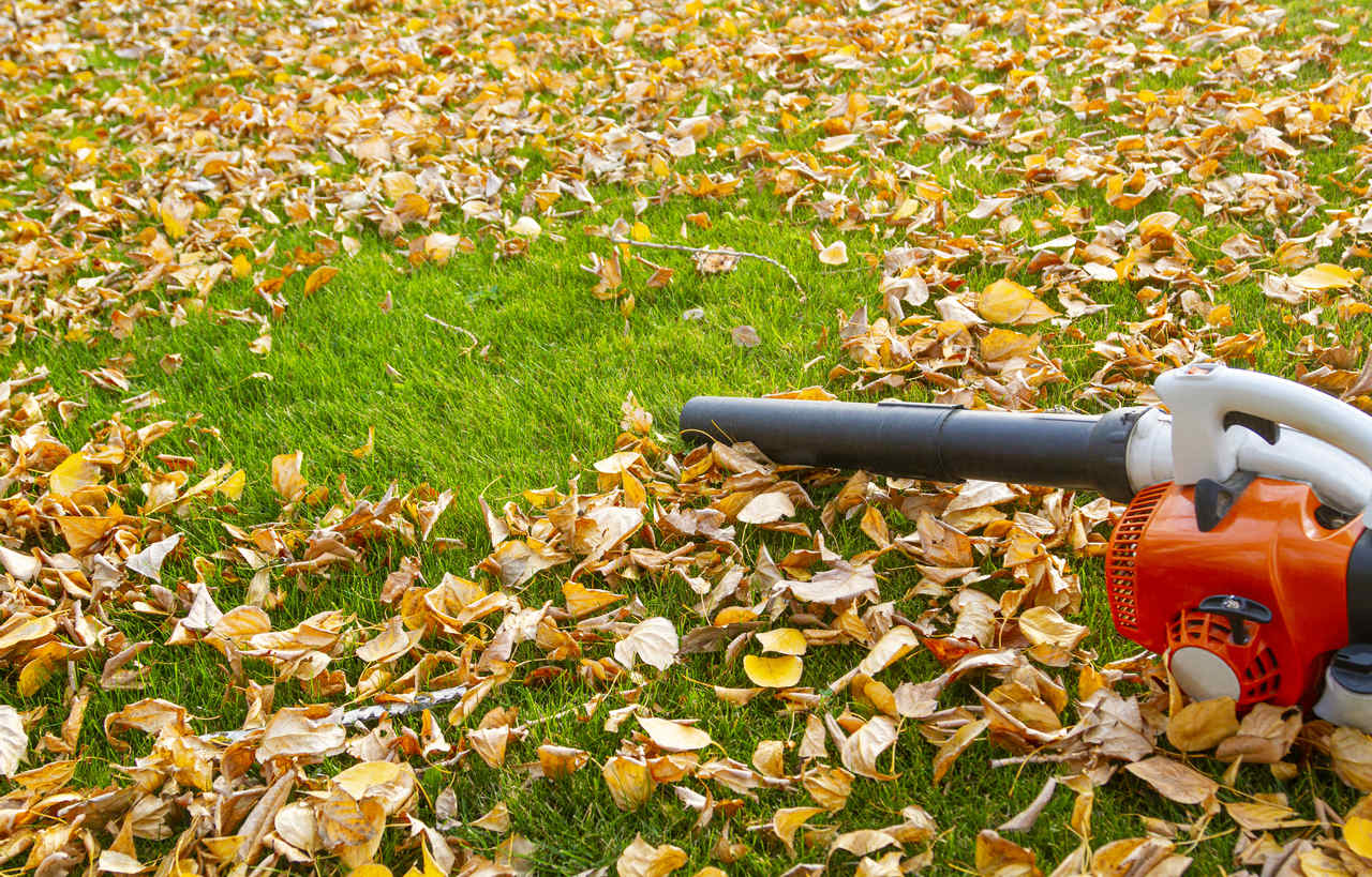 Specifications of a good leaf blower