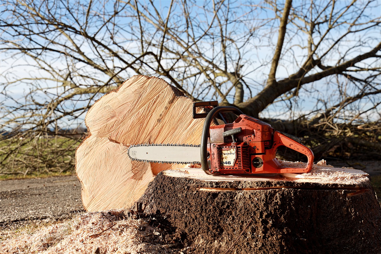 Chainsaw for branches. See which one works in your garden