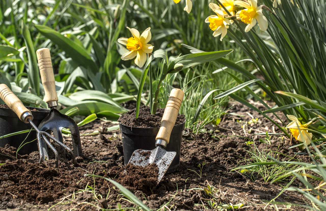 The most essential gardening tools
