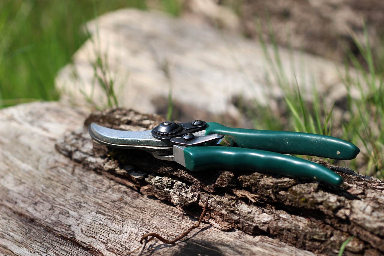 Shrub pruning shears. Which one to choose?