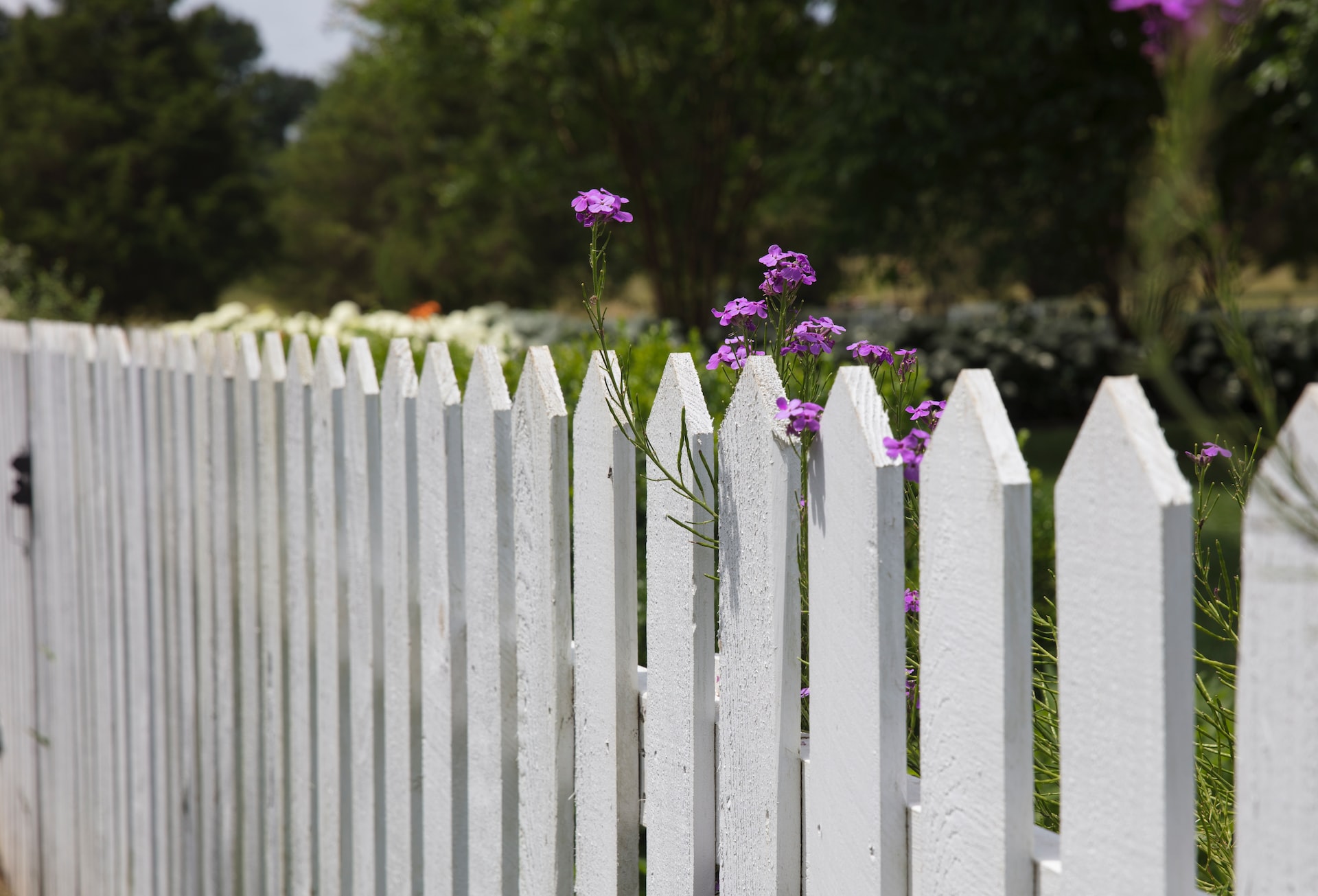How to choose the perfect fence for your garden?