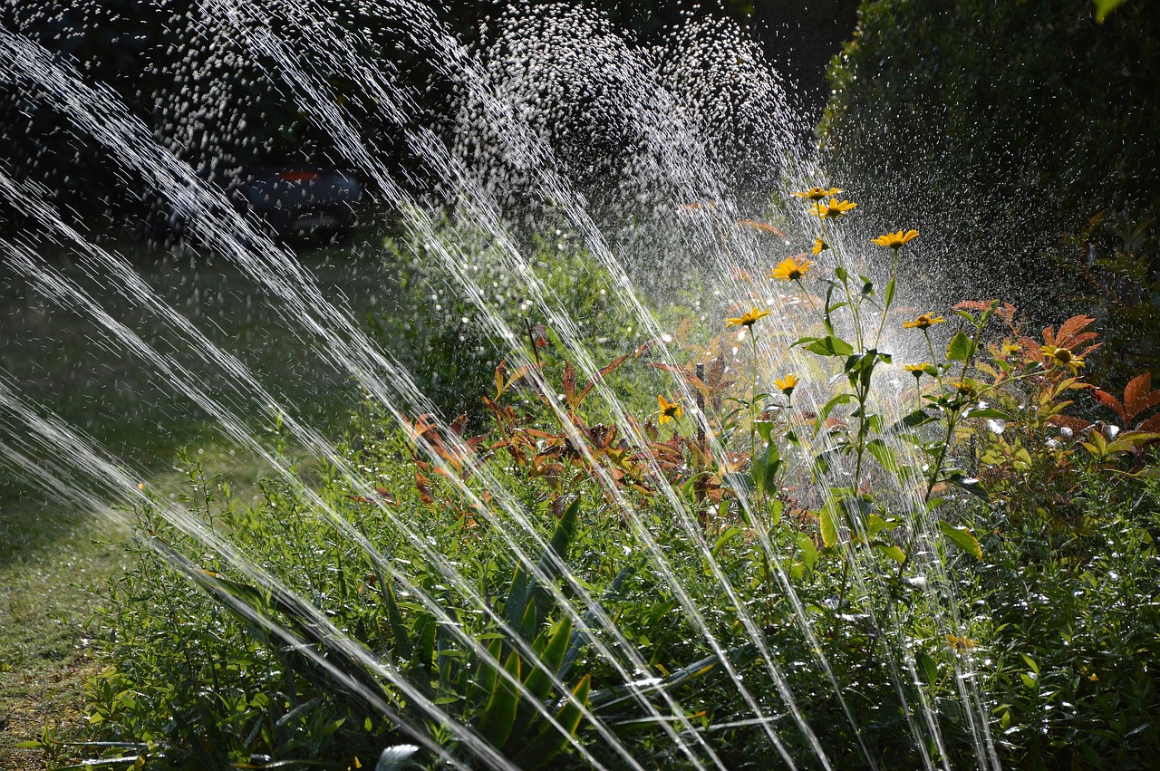 Garden irrigation – which systems are worth opting for?