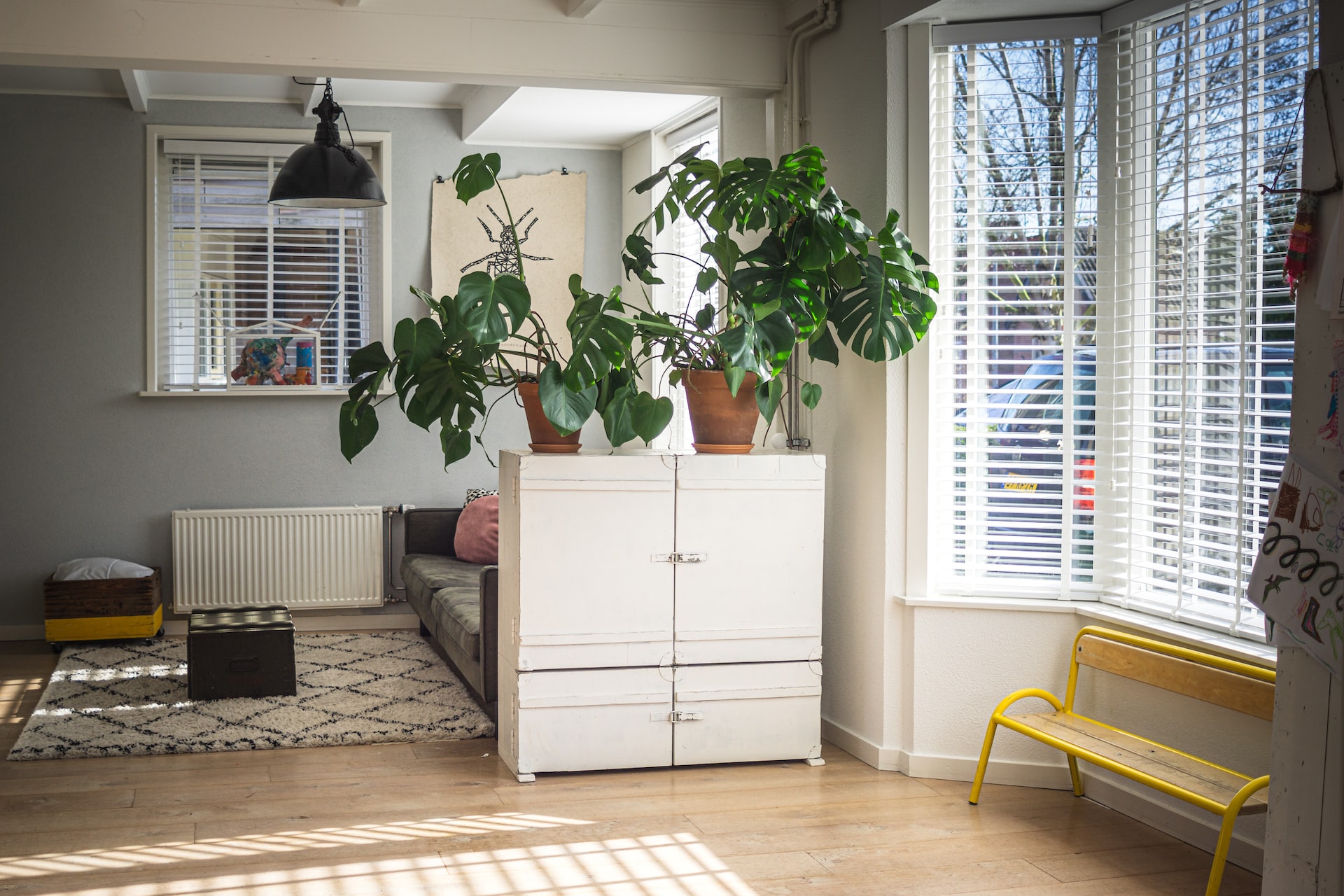 How to improve indoor air quality