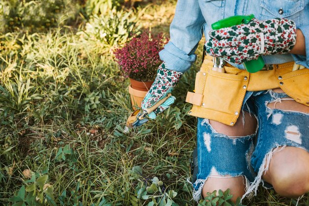 How Can You Create a Pollinator-Friendly Garden?